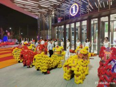 西安迎宾礼仪 大小提琴迎宾 竖琴迎宾 乐队迎宾 舞狮迎宾等
