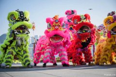 西安丰金锐大唐鼓艺演出 水鼓演出 鼓上舞演出 各类鼓租赁