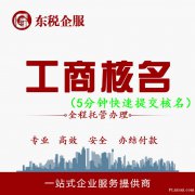 东税财税-北京免费公司注册 提供注册地址 记账报税月99元起