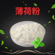 量大价优散装批发薄荷粉行业精选速溶薄荷提取物现货原料薄荷脑粉