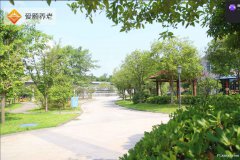 重庆敬老院养老院价格探秘之旅走进爱颐老年养护中心